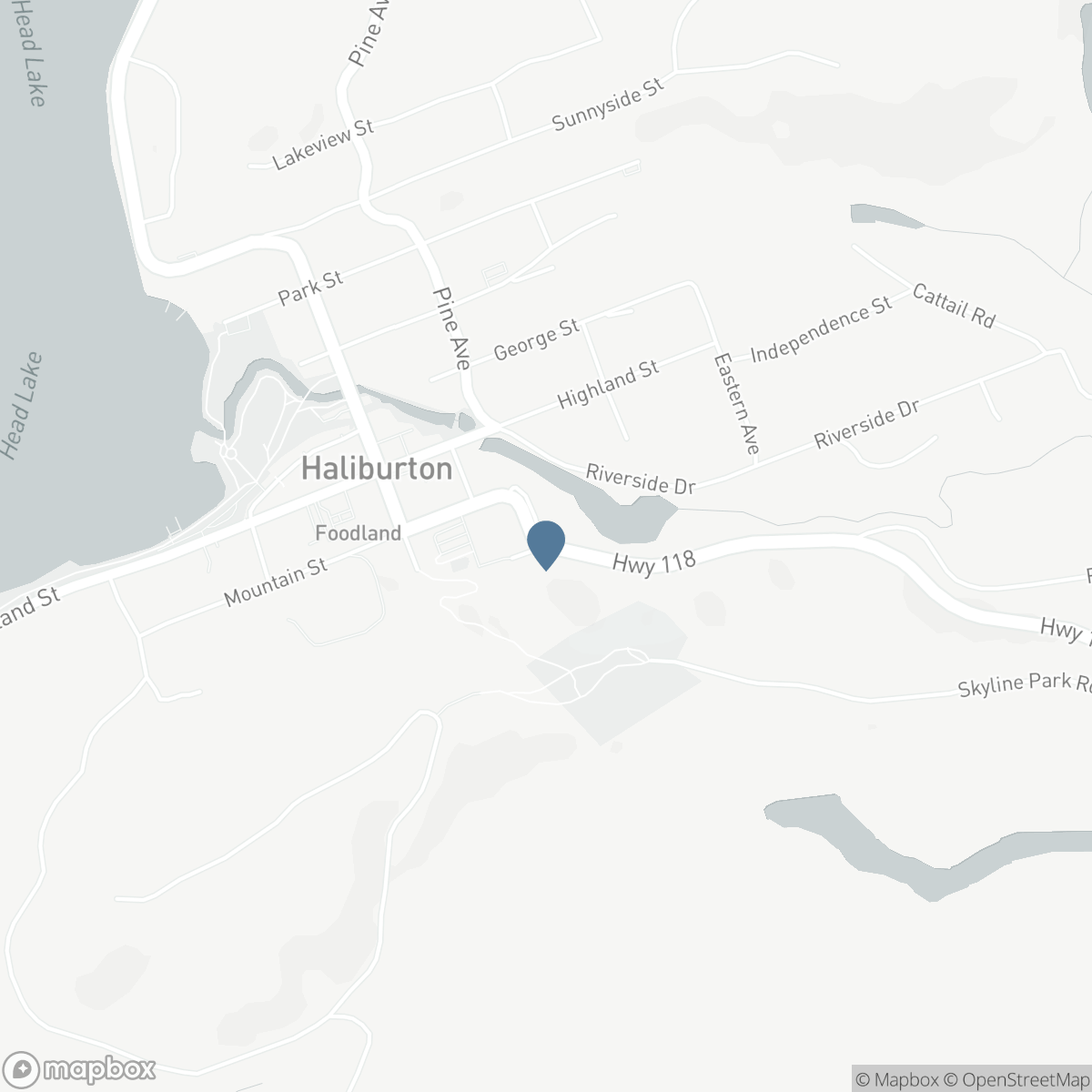 19221 HIGHWAY 118, Haliburton, Ontario K0M 1S0
